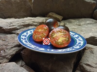 Antho Tomatoes Cascade Village Blue Tomato Seeds Available Here