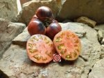 Amethyst Jewel Tomato