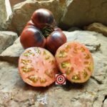 Amethyst Jewel Tomato