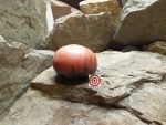 Amethyst Jewel Tomato Brad Gates Tomato