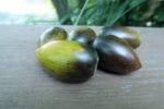 BRAD'S ATOMIC GRAPE TOMATOES BICOLORED