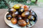 BRAD'S ATOMIC GRAPE TOMATOES CHERRY