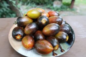 BRAD'S ATOMIC GRAPE TOMATOES CHERRY