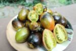 BRADS ATOMIC GRAPE TOMATOES INDETERMINATE