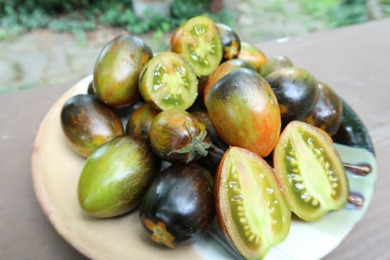 Brad's Atomic Grape TomatoBounty Hunter SeedsBrad Gates