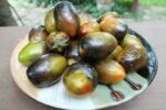 BRAD'S ATOMIC GRAPE TOMATOES WELL KNOWN BREEDERS