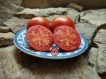 Baker's Family Heirloom Tomato Seeds