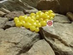 Barry's Crazy Cherry Tomato