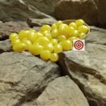 Barry's Crazy Cherry Tomato