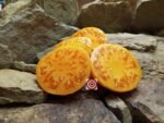 Beefsteak Tomato Amana Orange Tomato