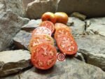 Beefsteak Tomato Baker's Family Heirloom Tomato