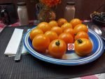 Big Sungold Tomato Seeds