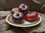 Blue Beauty Tomato By Brad Gates