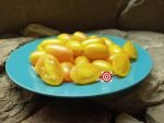 Blush Tomato by Fred Hempel
