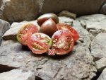 Brad Gates Sweet Tooth Tomato