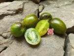 Brads Atomic Grape Tomato
