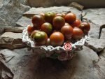 Brownberry Black Tomatoes