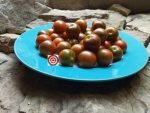 Brownberry Tomato