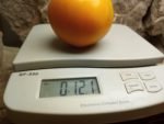 Carolina Gold (F2) Tomato - Image 2