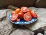 Charlie Scotts Wartime Cherry Tomato