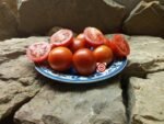 Charlie Scott's Wartime Tomato