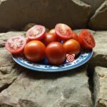 Charlie Scott's Wartime Tomato