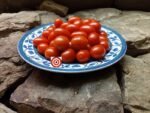 Cherry Tomato CLN 1555 Tomato