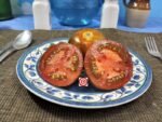 Cosmic Eclipse Tomato