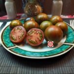 Cosmic Eclipse Tomato