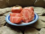 Council Bluffs Heirloom Tomato