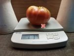 Council Bluffs Tomato