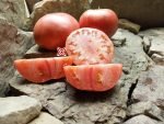 Council Bluffs Tomato Seeds