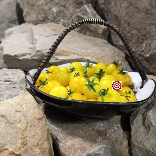 Dwarf Yellow Pygmy Tomato.