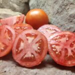 Early Girl F2 Tomatoes