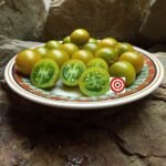 Emerald Cherry Tomato