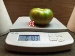 Harvard Square Beefsteak Tomato