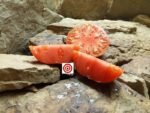 Heirloom Tomato Barlow Jap Tomato
