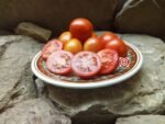 Heirloom Tomato Charlie Scott's Wartime Tomato