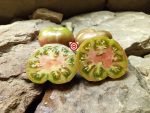 Horton Purple Tomato Beefsteak Tomatoes