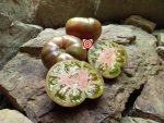 Horton Purple Tomato