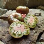 Horton Purple Tomato