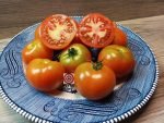 Husky Red Dwarf Slicing Tomato