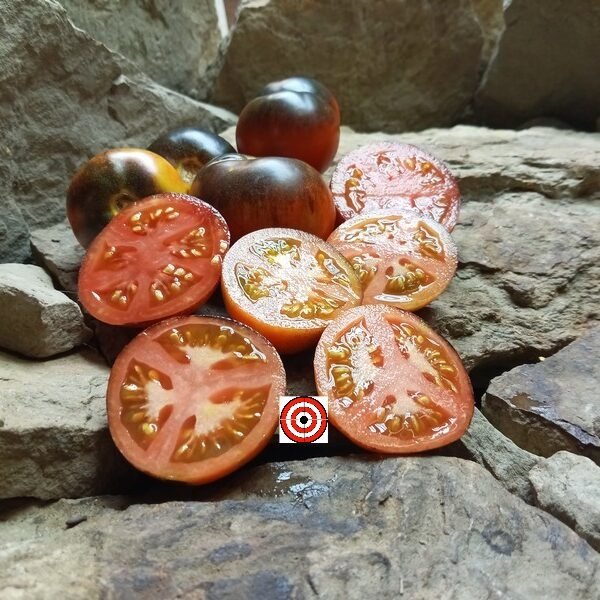 Indigo Apple Tomato
