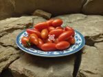 Juliet Red Tomato f3