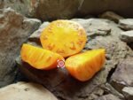 Kellogg's Breakfast Slicing Tomato