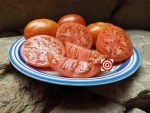 Legend Tomato