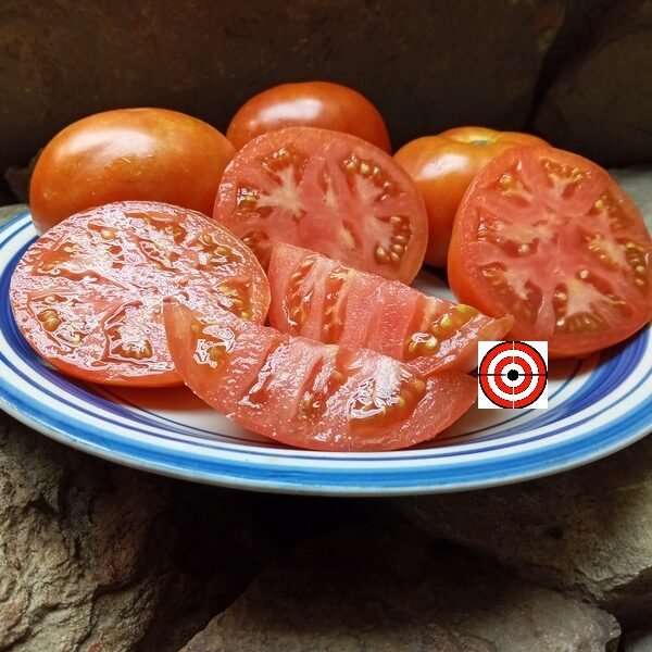 Legend Tomato