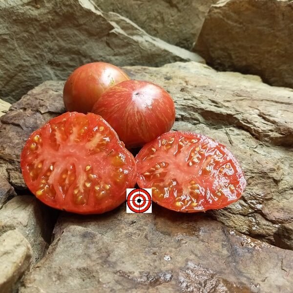 Lush Queen Tomato