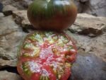 MISSISSIPPI QUEEN SLICING TOMATOES