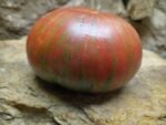 Mississippi Queen Tomato